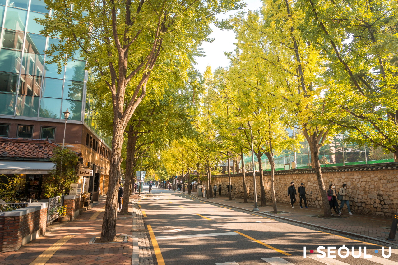 Deoksugung Stone Wall Road (德寿宫石墙路) 参考图 1
