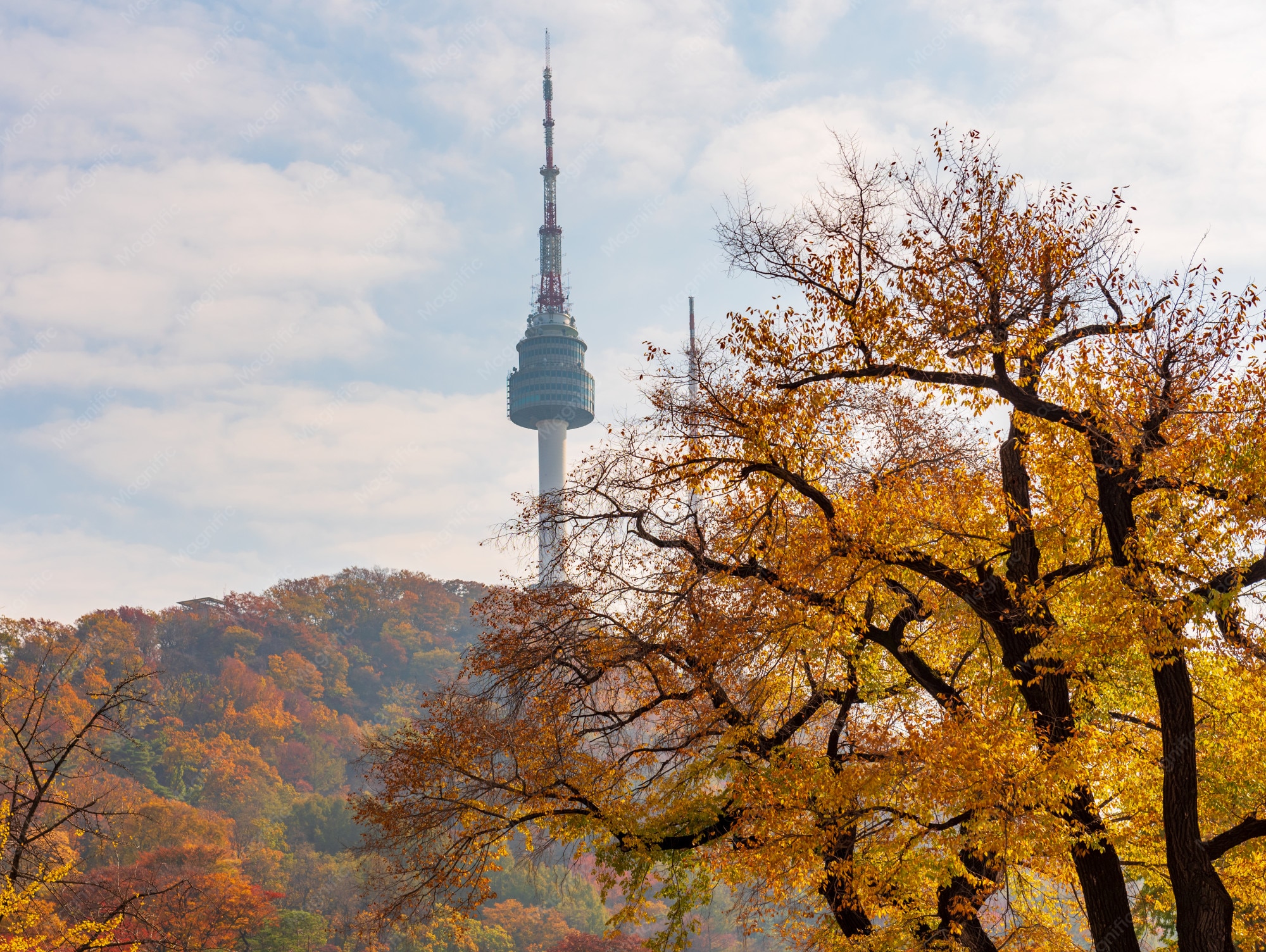 N Seoul Tower 参考图 1